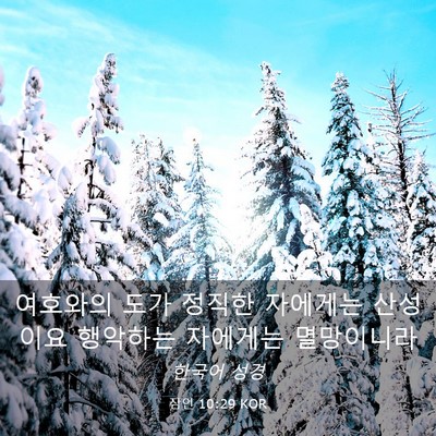 Picture 03 - 잠언 10:29 KOR - 여호와의 도가 정직한 자에게는 - Bible Verse Picture