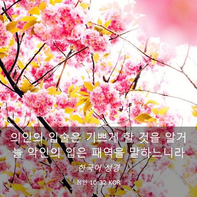 Picture 03 - 잠언 10:32 KOR - 의인의 입술은 기쁘게 할 것을 - Bible Verse Picture