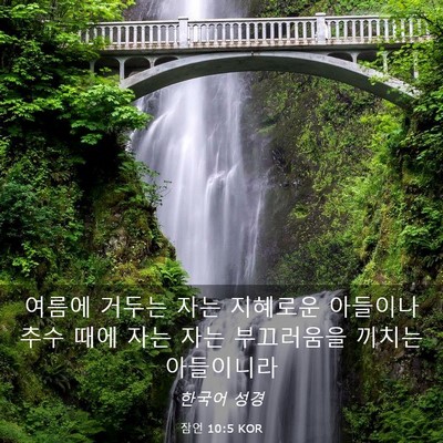 Picture 03 - 잠언 10:5 KOR - 여름에 거두는 자는 지혜로운 - Bible Verse Picture