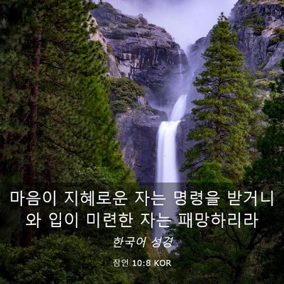 Picture 03 - 잠언 10:8 KOR - 마음이 지혜로운 자는 명령을 - Bible Verse Picture