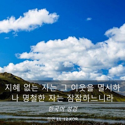 Picture 03 - 잠언 11:12 KOR - 지혜 없는 자는 그 이웃을 멸시하나 - Bible Verse Picture