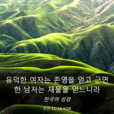 Picture 03 - 잠언 11:16 KOR - 유덕한 여자는 존영을 얻고 근면한 - Bible Verse Picture