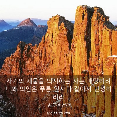 Picture 03 - 잠언 11:28 KOR - 자기의 재물을 의지하는 자는 - Bible Verse Picture