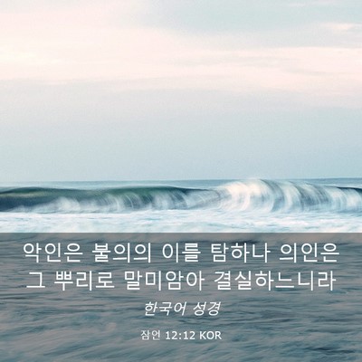 Picture 03 - 잠언 12:12 KOR - 악인은 불의의 이를 탐하나 의인은 - Bible Verse Picture
