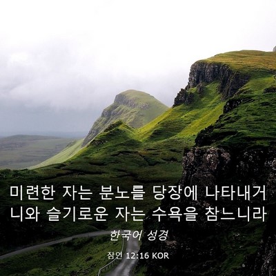 Picture 03 - 잠언 12:16 KOR - 미련한 자는 분노를 당장에 - Bible Verse Picture