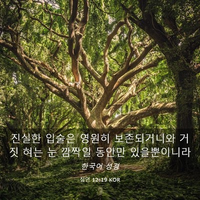 Picture 03 - 잠언 12:19 KOR - 진실한 입술은 영원히 보존되거니와 - Bible Verse Picture