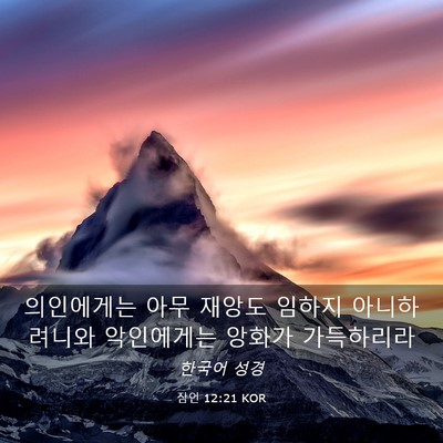 Picture 03 - 잠언 12:21 KOR - 의인에게는 아무 재앙도 임하지 - Bible Verse Picture