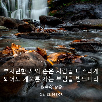 Picture 03 - 잠언 12:24 KOR - 부지런한 자의 손은 사람을 다스리게 - Bible Verse Picture
