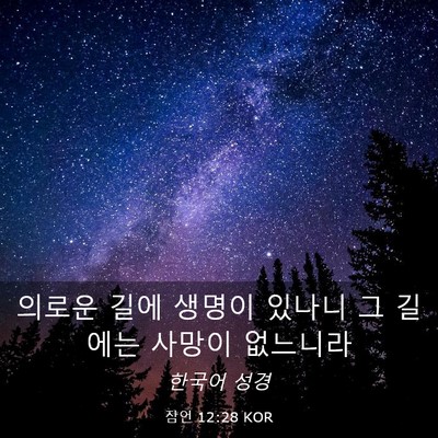 Picture 03 - 잠언 12:28 KOR - 의로운 길에 생명이 있나니 그 - Bible Verse Picture