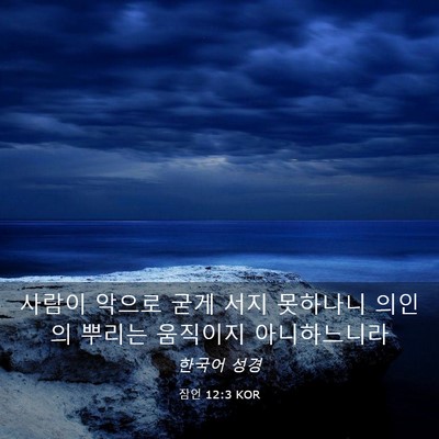 Picture 03 - 잠언 12:3 KOR - 사람이 악으로 굳게 서지 못하나니 - Bible Verse Picture