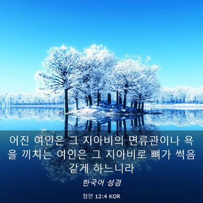 Picture 03 - 잠언 12:4 KOR - 어진 여인은 그 지아비의 면류관이나 - Bible Verse Picture