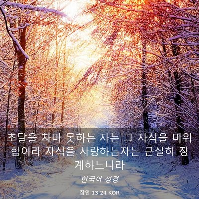 Picture 03 - 잠언 13:24 KOR - 초달을 차마 못하는 자는 그 자식을 - Bible Verse Picture