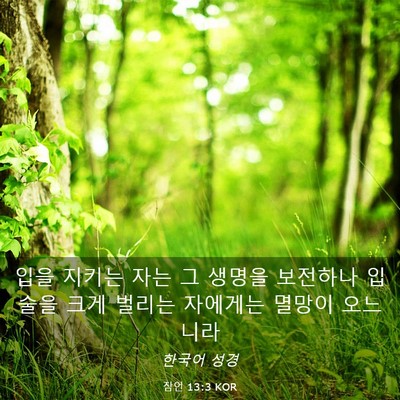 Picture 03 - 잠언 13:3 KOR - 입을 지키는 자는 그 생명을 - Bible Verse Picture