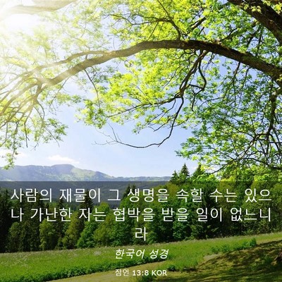 Picture 03 - 잠언 13:8 KOR - 사람의 재물이 그 생명을 속할 수는 - Bible Verse Picture