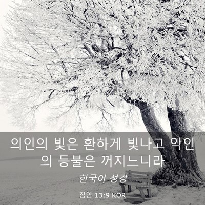 Picture 03 - 잠언 13:9 KOR - 의인의 빛은 환하게 빛나고 악인의 - Bible Verse Picture
