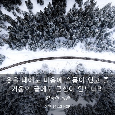 Picture 03 - 잠언 14:13 KOR - 웃을 때에도 마음에 슬픔이 있고 - Bible Verse Picture