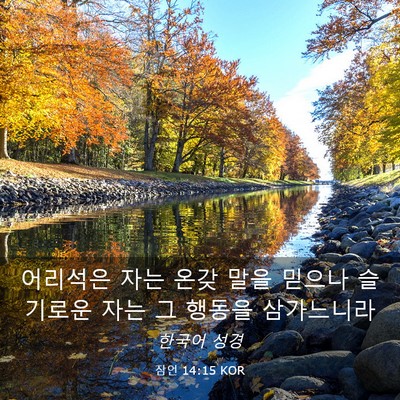 Picture 03 - 잠언 14:15 KOR - 어리석은 자는 온갖 말을 믿으나 - Bible Verse Picture