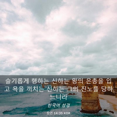 Picture 03 - 잠언 14:35 KOR - 슬기롭게 행하는 신하는 왕의 은총을 - Bible Verse Picture