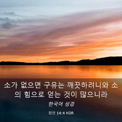 Picture 03 - 잠언 14:4 KOR - 소가 없으면 구유는 깨끗하려니와 - Bible Verse Picture