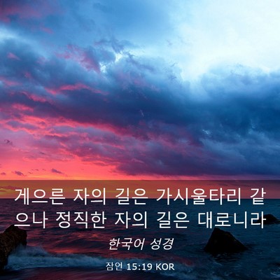 Picture 03 - 잠언 15:19 KOR - 게으른 자의 길은 가시울타리 같으나 - Bible Verse Picture