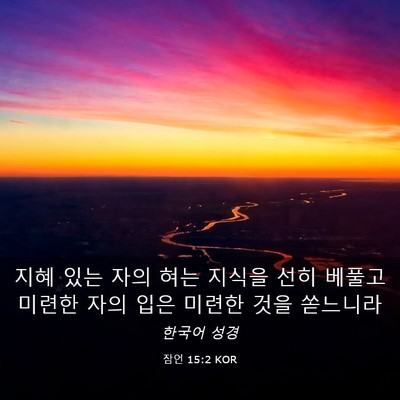 Picture 03 - 잠언 15:2 KOR - 지혜 있는 자의 혀는 지식을 선히 - Bible Verse Picture