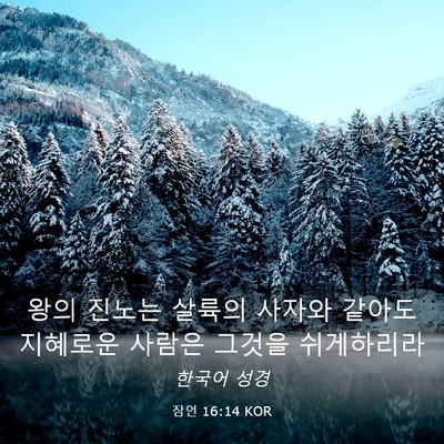 Picture 03 - 잠언 16:14 KOR - 왕의 진노는 살륙의 사자와 같아도 - Bible Verse Picture