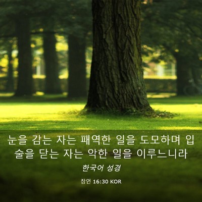 Picture 03 - 잠언 16:30 KOR - 눈을 감는 자는 패역한 일을 - Bible Verse Picture
