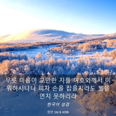 Picture 03 - 잠언 16:5 KOR - 무릇 마음이 교만한 자를 여호와께서 - Bible Verse Picture