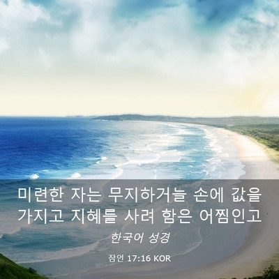 Picture 03 - 잠언 17:16 KOR - 미련한 자는 무지하거늘 손에 값을 - Bible Verse Picture
