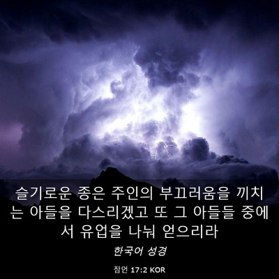 Picture 03 - 잠언 17:2 KOR - 슬기로운 종은 주인의 부끄러움을 - Bible Verse Picture