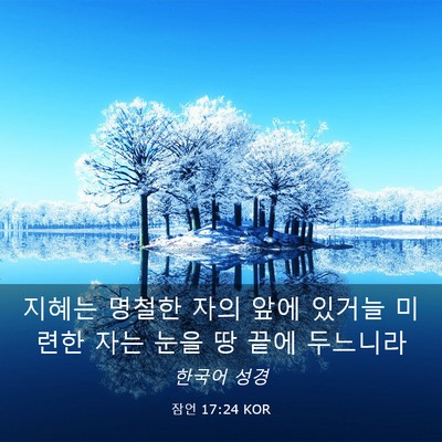Picture 03 - 잠언 17:24 KOR - 지혜는 명철한 자의 앞에 있거늘 - Bible Verse Picture