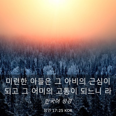Picture 03 - 잠언 17:25 KOR - 미련한 아들은 그 아비의 근심이 - Bible Verse Picture