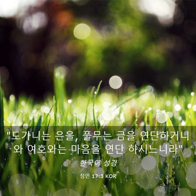 Picture 03 - 잠언 17:3 KOR - 