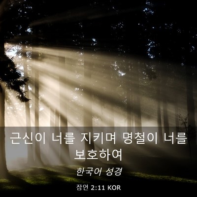 Picture 03 - 잠언 2:11 KOR - 근신이 너를 지키며 명철이 너를 - Bible Verse Picture