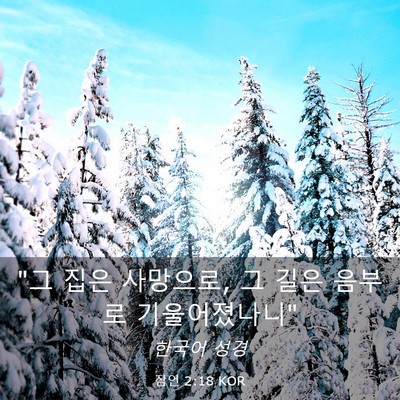 Picture 03 - 잠언 2:18 KOR - 
