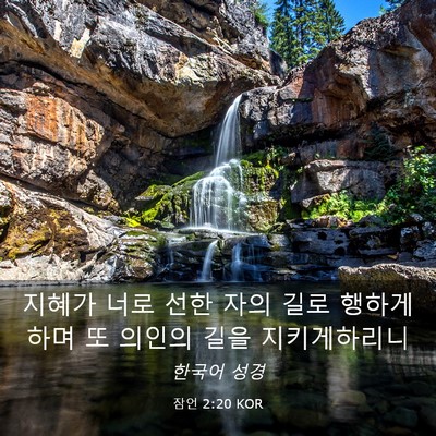Picture 03 - 잠언 2:20 KOR - 지혜가 너로 선한 자의 길로 행하게 - Bible Verse Picture