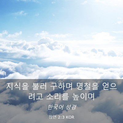 Picture 03 - 잠언 2:3 KOR - 지식을 불러 구하며 명철을 얻으려고 - Bible Verse Picture