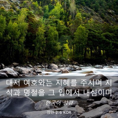 Picture 03 - 잠언 2:6 KOR - 대저 여호와는 지혜를 주시며 지식과 - Bible Verse Picture