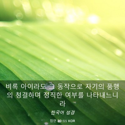 Picture 03 - 잠언 20:11 KOR - 비록 아이라도 그 동작으로 자기의 - Bible Verse Picture