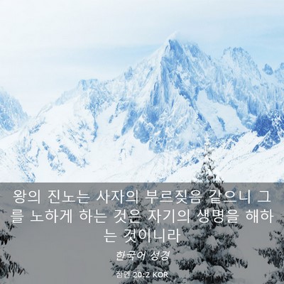Picture 03 - 잠언 20:2 KOR - 왕의 진노는 사자의 부르짖음 같으니 - Bible Verse Picture