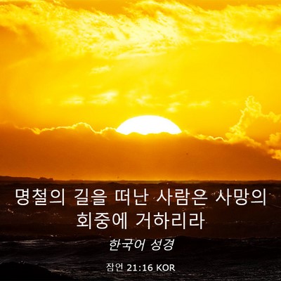 Picture 03 - 잠언 21:16 KOR - 명철의 길을 떠난 사람은 사망의 - Bible Verse Picture