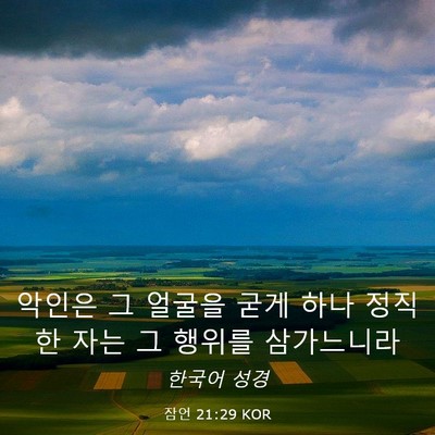 Picture 03 - 잠언 21:29 KOR - 악인은 그 얼굴을 굳게 하나 정직한 - Bible Verse Picture