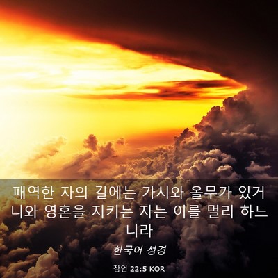 Picture 03 - 잠언 22:5 KOR - 패역한 자의 길에는 가시와 올무가 - Bible Verse Picture