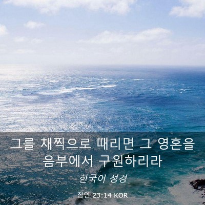 Picture 03 - 잠언 23:14 KOR - 그를 채찍으로 때리면 그 영혼을 - Bible Verse Picture