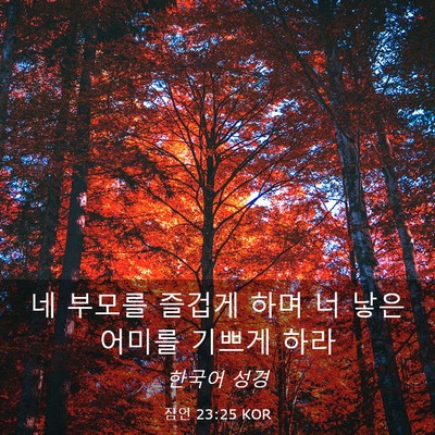 Picture 03 - 잠언 23:25 KOR - 네 부모를 즐겁게 하며 너 낳은 - Bible Verse Picture