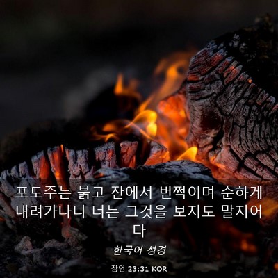 Picture 03 - 잠언 23:31 KOR - 포도주는 붉고 잔에서 번쩍이며 - Bible Verse Picture