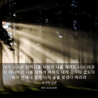 Picture 03 - 잠언 23:35 KOR - 네가 스스로 말하기를 사람이 나를 - Bible Verse Picture