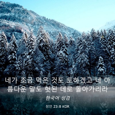 Picture 03 - 잠언 23:8 KOR - 네가 조금 먹은 것도 토하겠고 네 - Bible Verse Picture