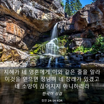 Picture 03 - 잠언 24:14 KOR - 지혜가 네 영혼에게 이와 같은 줄을 - Bible Verse Picture