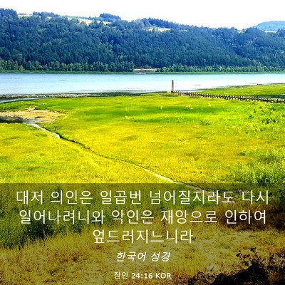 Picture 03 - 잠언 24:16 KOR - 대저 의인은 일곱번 넘어질지라도 - Bible Verse Picture